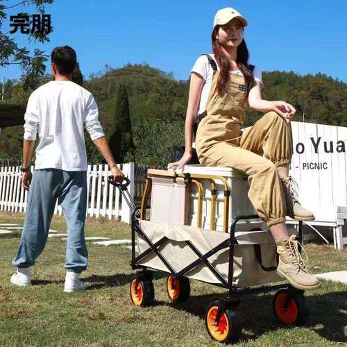 露营车摆摊地摊小推车拉货专用取快递可折叠手推
