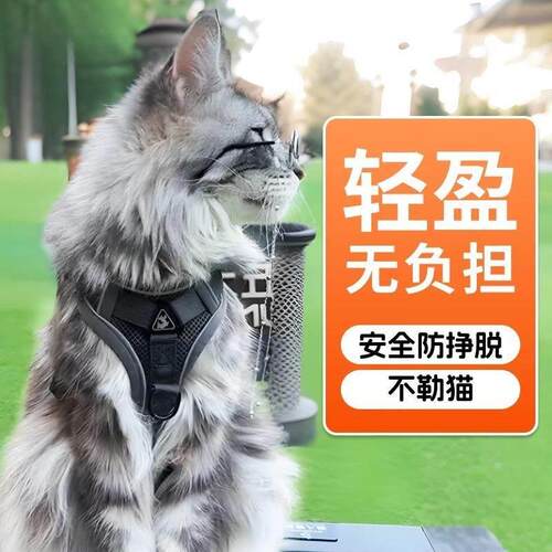 猫咪牵引绳缅因猫防挣脱可调节背心式溜猫神器不勒脖外出专用胸背