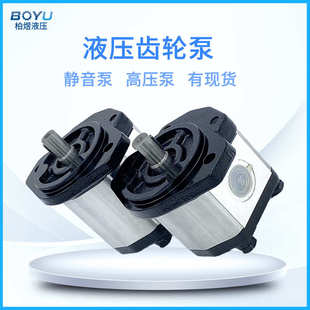 时骏拖拉机液压齿轮泵XP系列奥驰2000农用车专用液压外啮合齿轮泵
