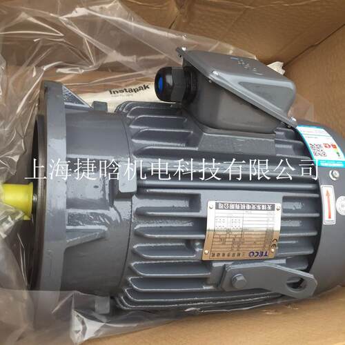 TECO东元电机三相异步马达25HP 18.5KW 4P AEEFF3 AEVFF3 IE2
