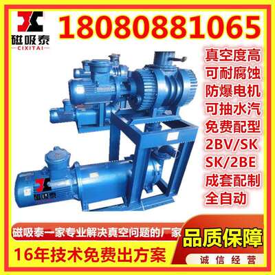 JZJPS真空机组纸浆真空蒸馏/精馏ZJW系列罗茨水环真空泵控制机组