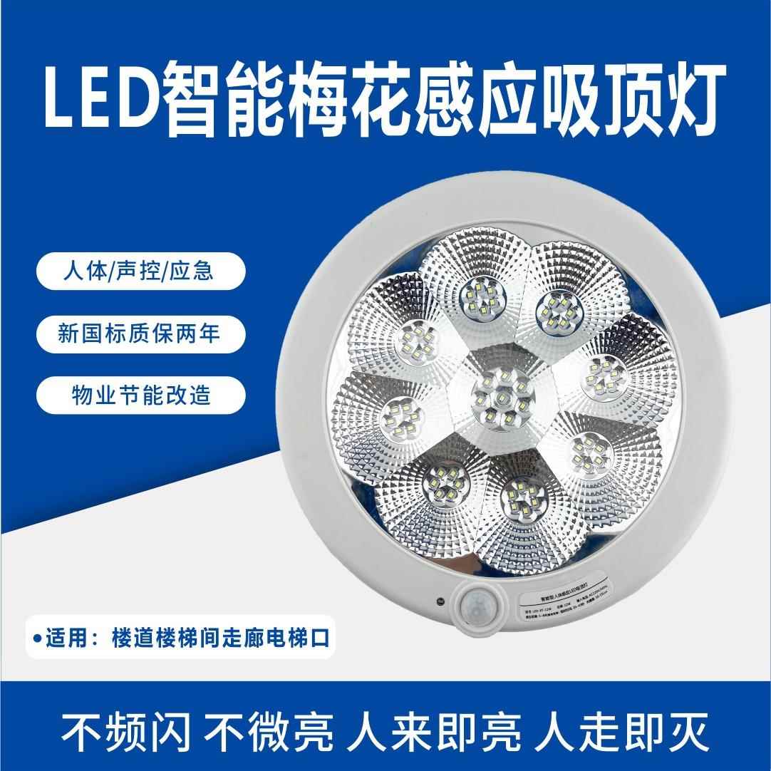 led吸顶灯红外人体声控感应灯楼道梅花灯应急灯车库灯应急照明