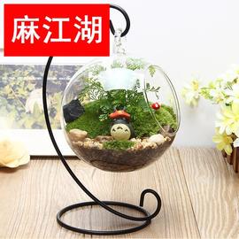 微景观铁架玻璃花瓶透明悬挂圆瓶苔藓DIY花瓶创意家居工艺品