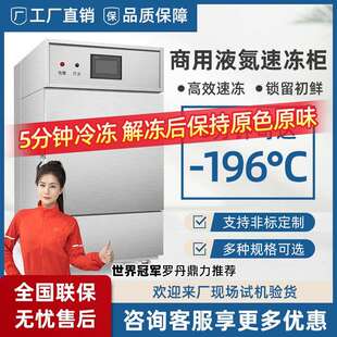 -196度液氮速冻柜商用小型速冻柜海产品速冻机柜式速冻设备