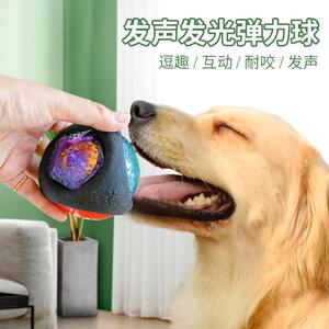 宠物狗狗玩具耐咬泰迪比熊休闲玩具发声发光黑球互动训练球狗玩具