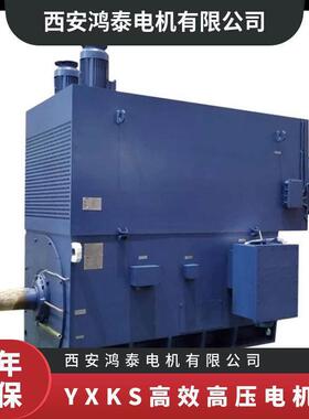 鸿泰压三相异步电机YXKS6309-2 3150KW 10KV采用优化的电磁设计
