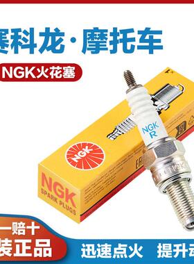 适用赛科龙RX1 RZ3S RT2 RG3 RC401 RA250 RE600 RX500火花塞