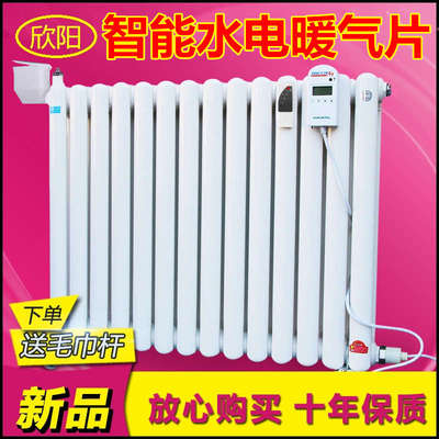 包邮加水电暖气片 家用注水式取暖器 智能加热棒 加水电暖器欣阳
