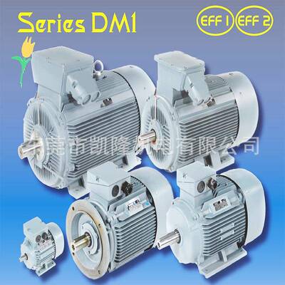 DUTCHI电机马达 DMA280L4