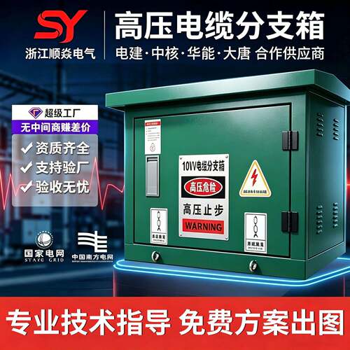 10KV压电缆分支箱箱FW欧式5kv铜排分线箱不锈钢材质一进二出