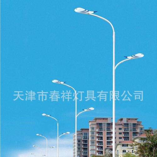 天津春祥灯具马路照明6米多种规格户外道路双臂灯杆路灯杆