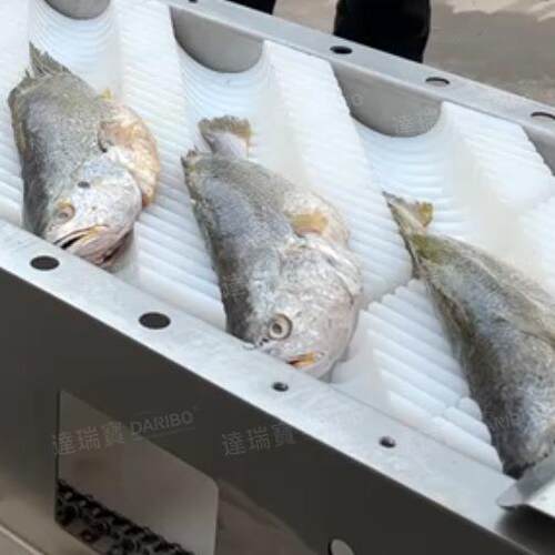 W鲜鱼切片机冻鱼切块切段机 厂家供应鲅鱼切鱼机不锈钢材质