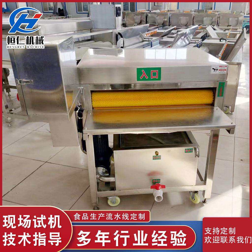厂家供应商用粽叶双毛辊清洗机全自动毛竹柊叶循环水清洗设备