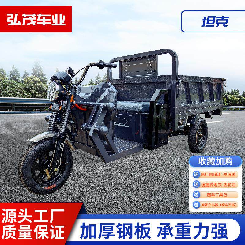 电动三轮车载重王拉货成人新款家用电瓶车拉货三轮车快递车农用车