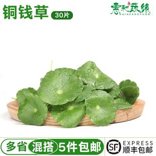 铜钱草新鲜花草旱金莲叶新鲜叶片西餐饭店酒店饭店装饰拍盘30朵