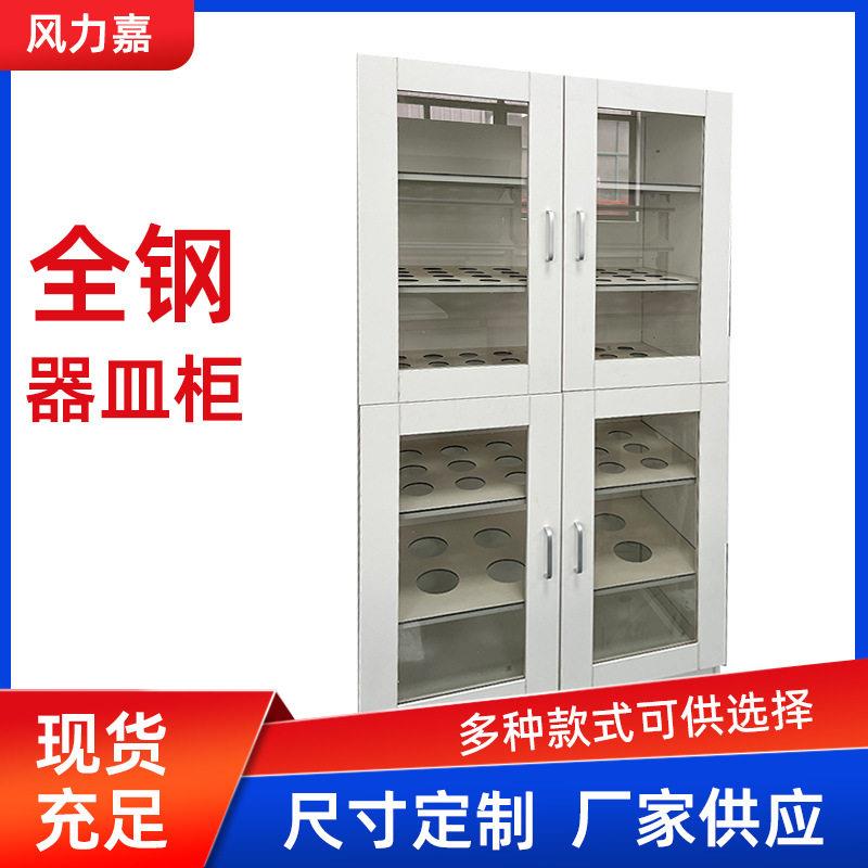 全钢器皿柜厂家学校实验室仪器品柜试剂柜PP通风通风安全柜图片