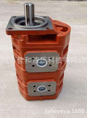 供应临工LG938装载机工作泵CBGj3100/1010C-XF液压泵