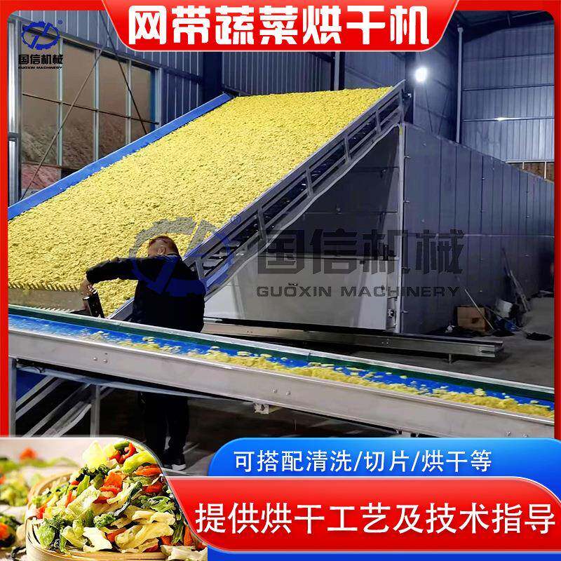 生姜片烘干设备大型贡菜红薯萝卜条山药片干燥机网带蔬菜烘干机
