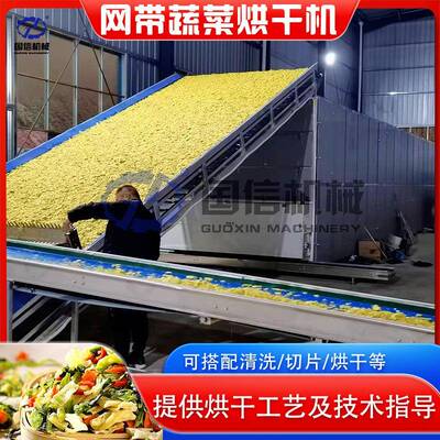 生姜片烘干设备 大型贡菜红薯萝卜条山药片干燥机 网带蔬菜烘干机