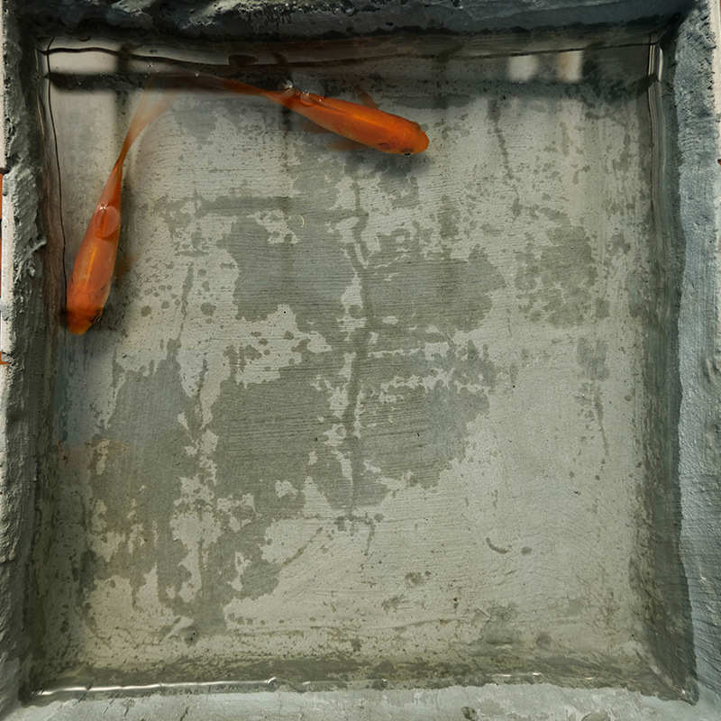 K11超弹柔韧性室内厨房厕所防水涂料 室外游泳水池屋面屋顶防水胶