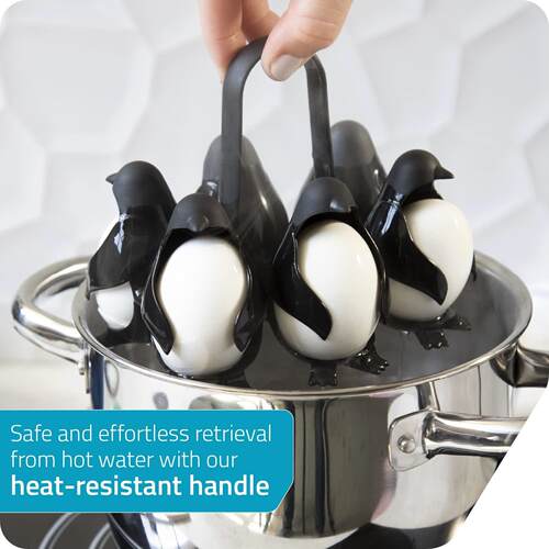 Boiled Egg Cooker Making Soft Hard Boiled Eggs Egg Holder