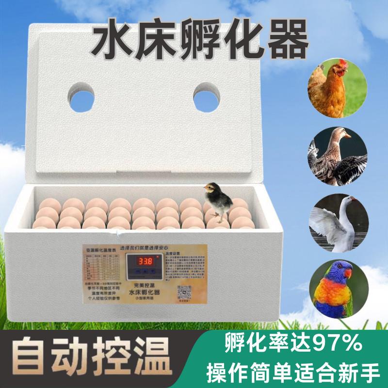 芦丁鸡孵化箱水床孵化器家用小型全自动孵化机鸡鸭鹅鸽子孵化厂家