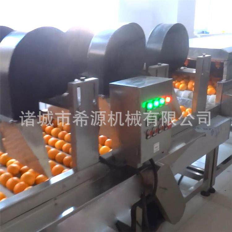 304不锈钢洗橙清洗机脐橙连续式清洗生产线多用途设备全自动