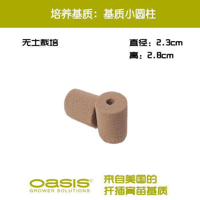 奥赛斯®基质小圆柱穴盘用整箱 培养基质无土栽培种菜阳台种植