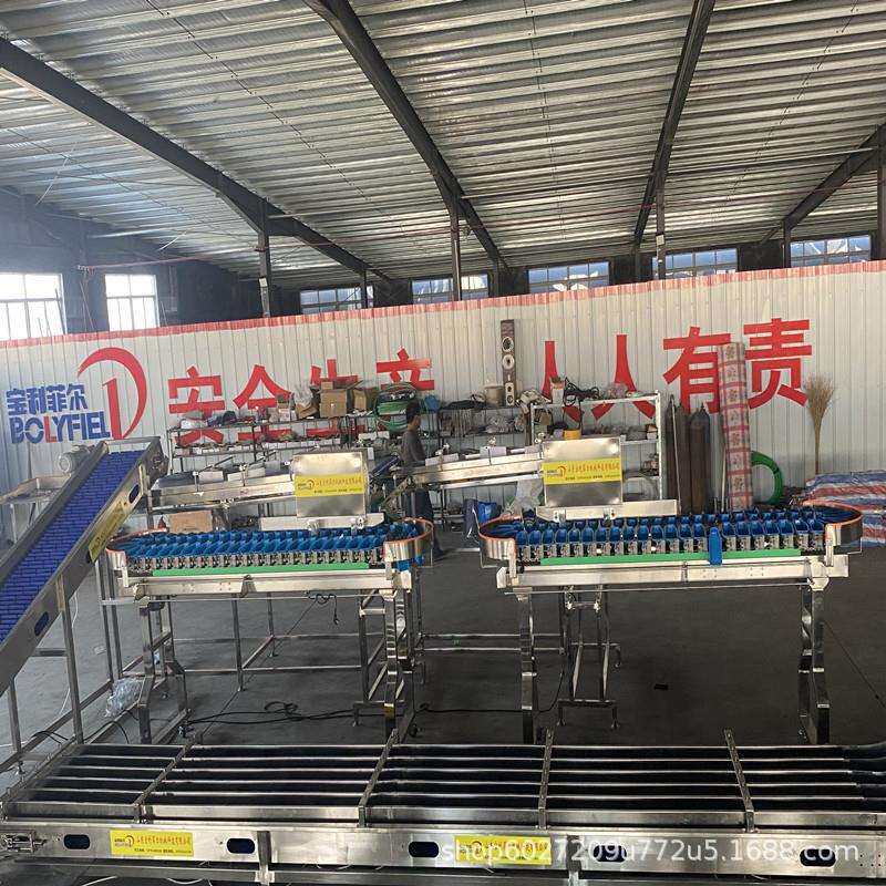 海参高精度重量分选机鲅鱼黄花自动分拣分级机百香果称重选果机