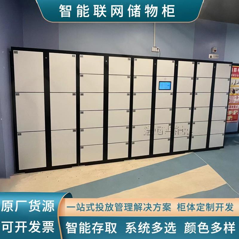 智能行李寄存柜智能系统后台管理车站景区联网储物柜河南厂家直销
