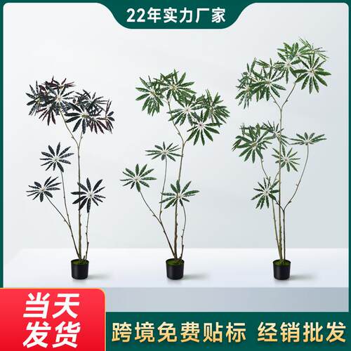 仿真孔雀木盆栽绿植落地装饰客厅假树室内禅意软装样板间造景