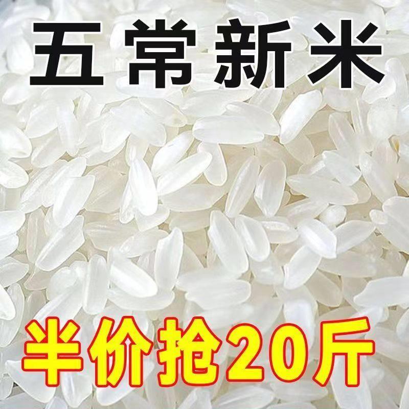 正宗五常稻香米2024年新米五常大米10斤20斤特级东北大米好吃不贵