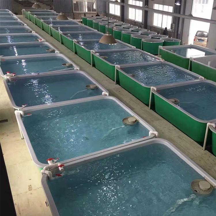 大量生产环保塑料鱼池FRP超耐磨水产养殖移动鱼池桶塘鱼增氧商用