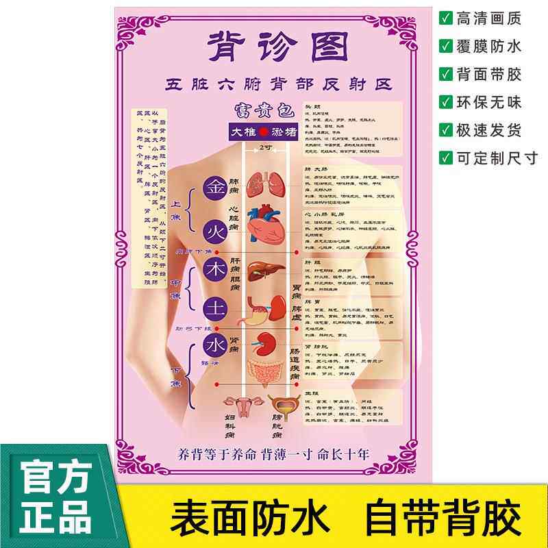 背诊图五脏六腑背部反射区美容院养生海报装饰画贴纸贴画广告宣传