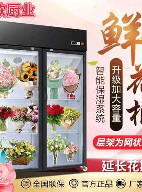 鲜花保鲜柜商用风冷双开门立式花店玻璃冷柜植物柜陈列冷藏展示柜
