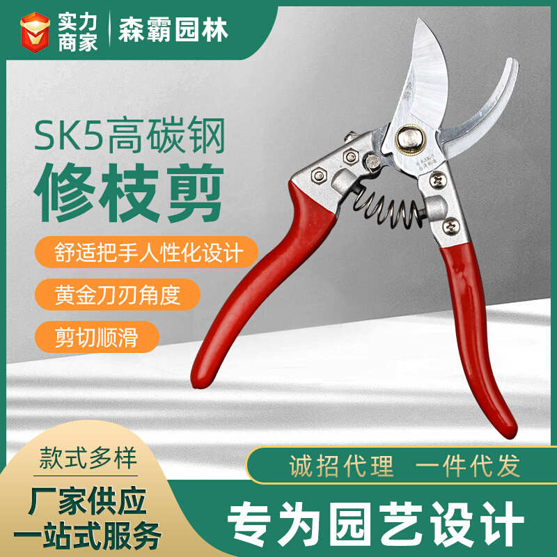8寸强力园林修枝剪鸟嘴手动园林绿化剪SK5铝把园林工具花枝剪