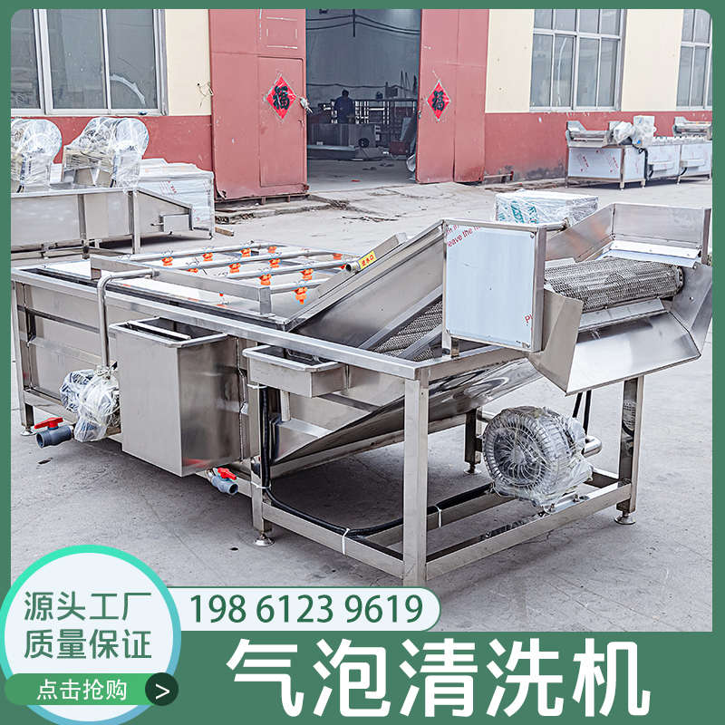 全自动果蔬气泡清洗机蔬菜清洗加工设备净菜清洗流水线喷淋式清洗