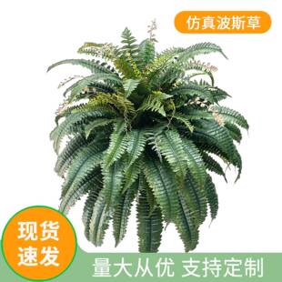 仿真波斯草人造蕨草客厅室内植物角装饰摆件蕨类绿植假波草盆栽