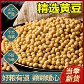新黄豆农家自种大豆非基因改造老品种生豆芽打豆浆豆子杂粮旗舰店