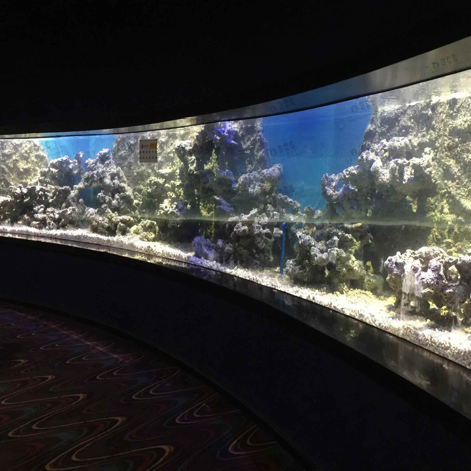 海洋馆族馆佳设正计工程循环水处理设CAU备水极地海洋世界