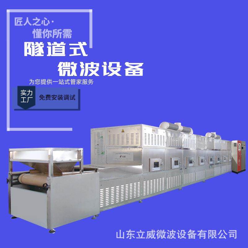 微波香榧烘烤熟化设备隧道式坚果灭活杀虫卵设备干果类烘焙机