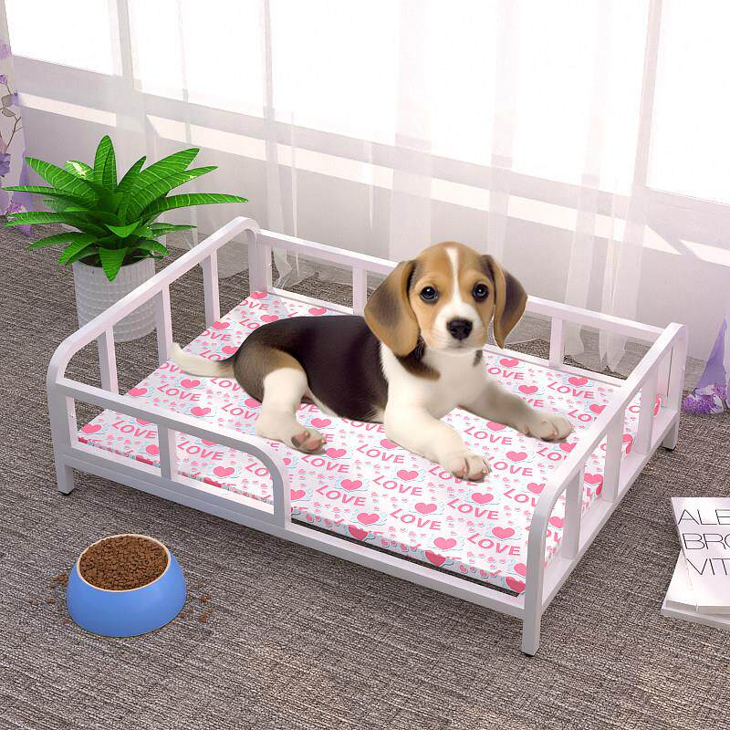 狗床中型犬宠物床小型犬铁艺行军床悬空离地泰迪专用网红夏季猫床