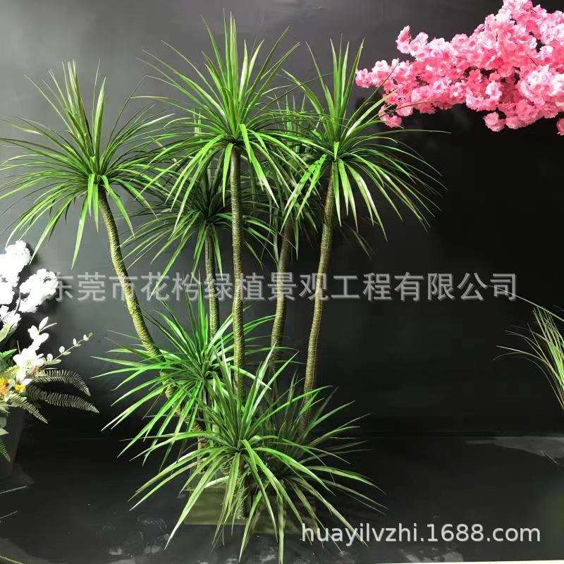 仿真龙血树植物现货仿真千年木假树马尾铁客厅落地龙血树绿植盆栽