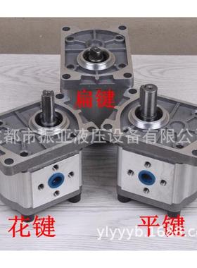 齿轮泵 液压油0泵CBN-F10F314 F306 F32 F3325 CBNF316抽油润滑