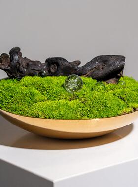 匠十三 新中式仿真绿植苔藓酒店自助餐厅桌面装饰品售楼处装饰品
