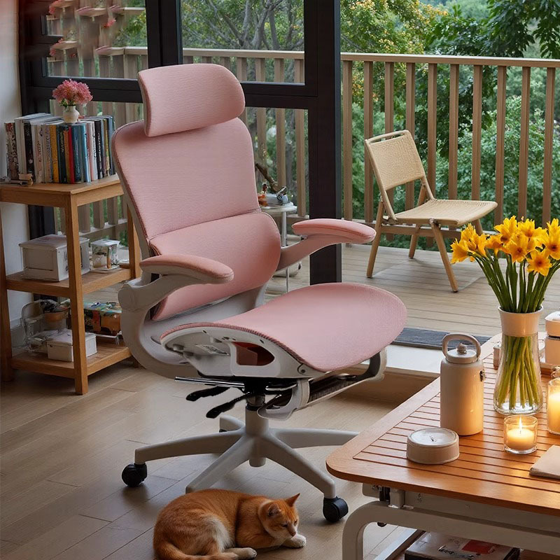 靠背椅人体工学电脑办公职员椅