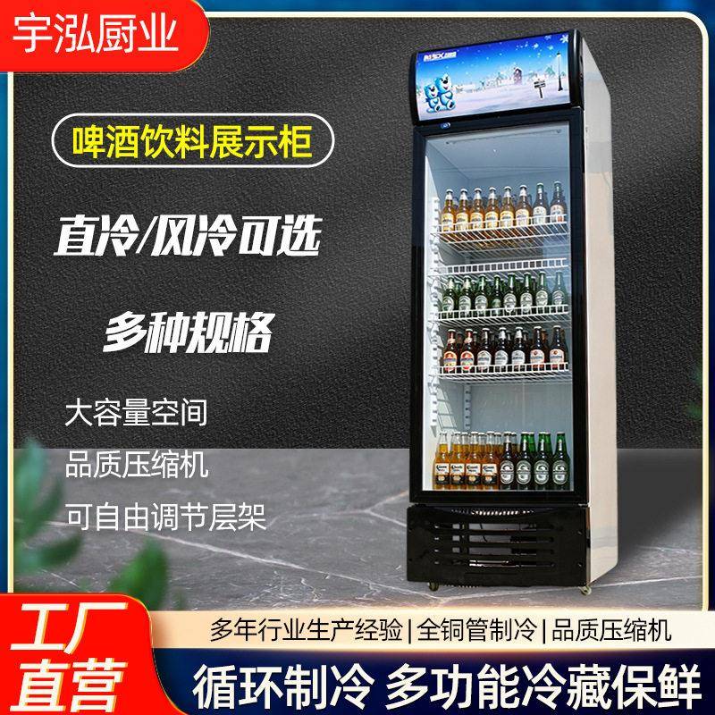 啤酒饮料柜商场便利店冷藏保鲜柜蔬菜水果冷藏柜商用冰柜酒水柜