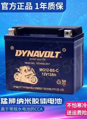 猛狮摩托车电瓶春风400NK650国宾狒狒125st150CT250SR12V电池GT锂