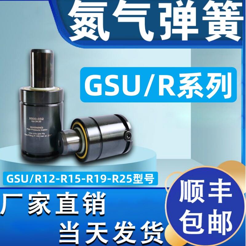 氮气小弹簧R12-R15-R19-R25微型气弹簧/氮气缸/M2模具弹簧氮气簧