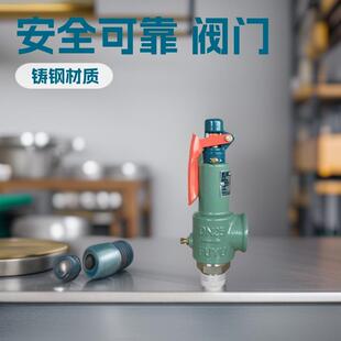 德鸿厂空压机配件A28H16储气罐阀空气铸钢螺纹止阀片直销